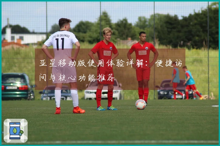 亚星移动版使用体验详解：便捷访问与核心功能推荐