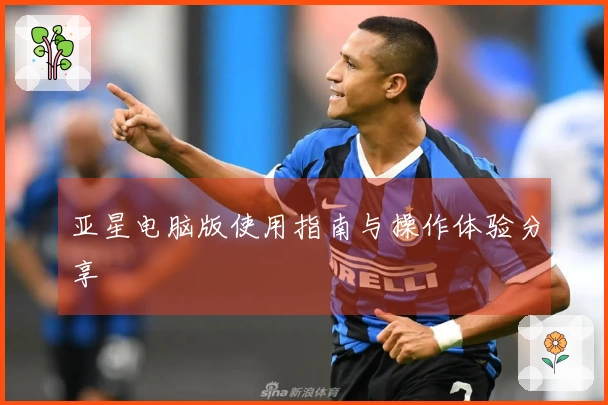 亚星电脑版使用指南与操作体验分享